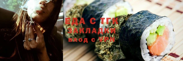 индика Волоколамск