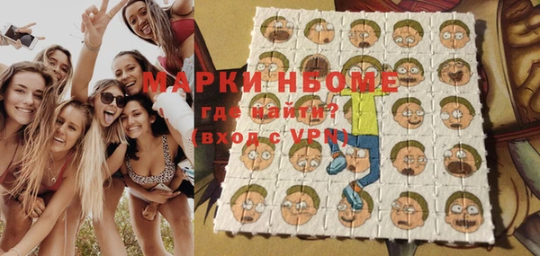 индика Волоколамск