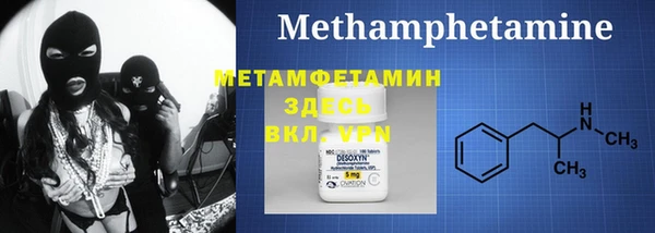 индика Волоколамск