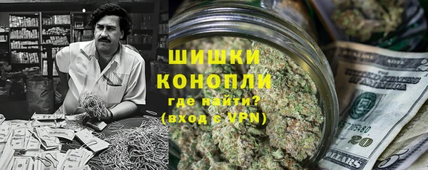 индика Волоколамск