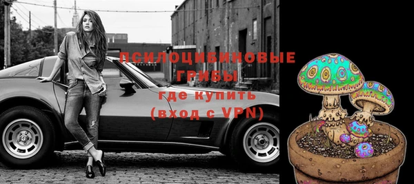 индика Волоколамск