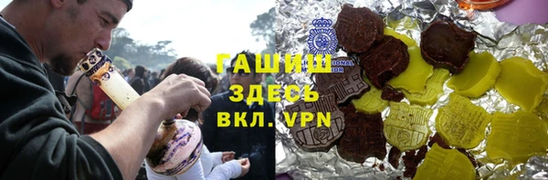 индика Волоколамск
